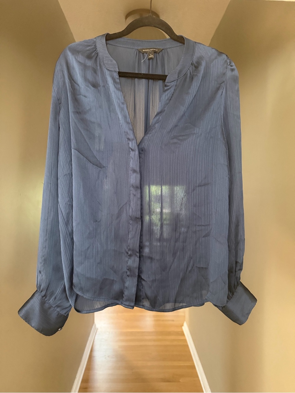 Banana Republic Blue Sheer V-Neck Blouse
